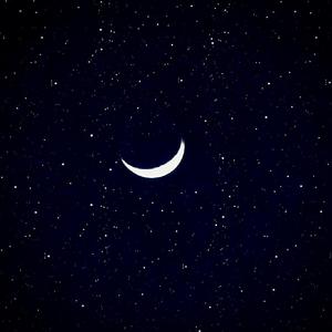 农民伯伯2免费完整版
