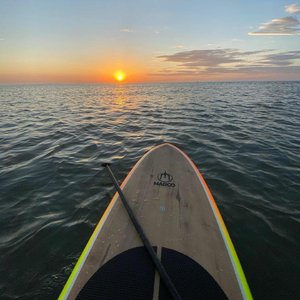 农民伯伯2免费完整版
