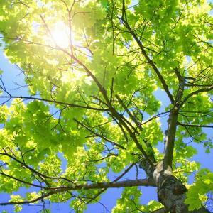 农民伯伯2免费完整版
